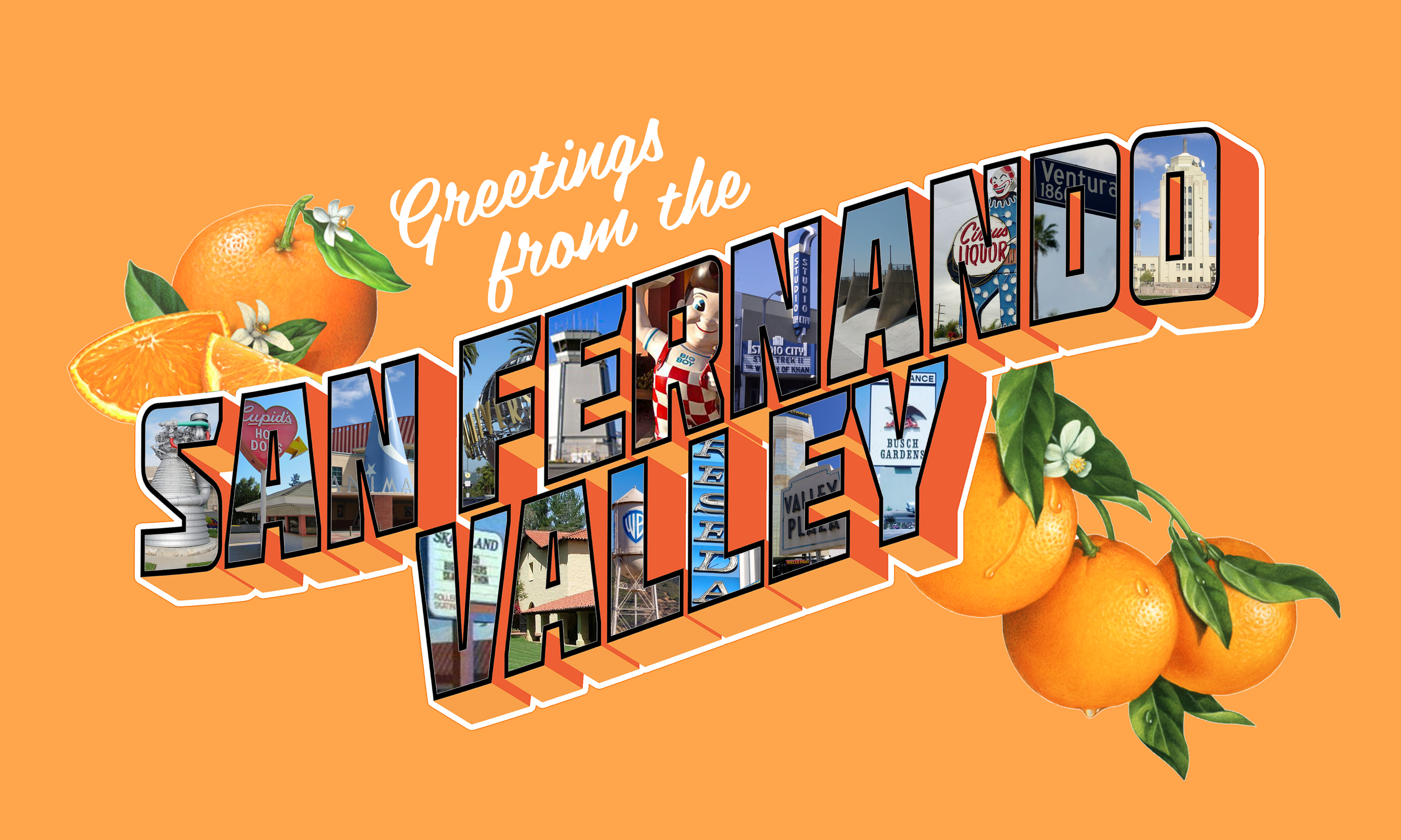 SAN FERNANDO VALLEY FLAG